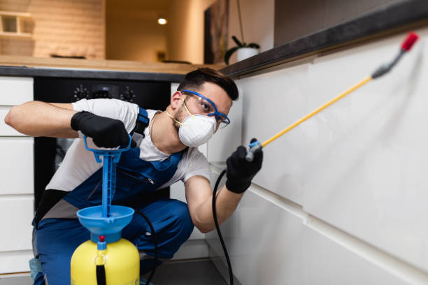 Best Pest Inspection Near Me  in Rexland Acres, CA