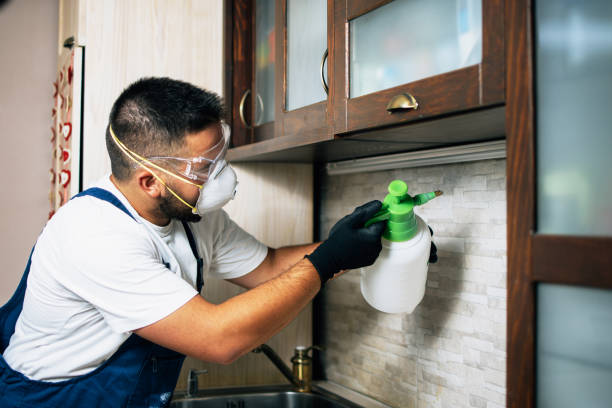 Best Affordable Pest Control Services  in Rexland Acres, CA