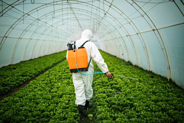 Best Emergency Pest Control  in Rexland Acres, CA