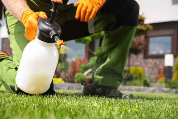 Best Best Pest Control Companies  in Rexland Acres, CA