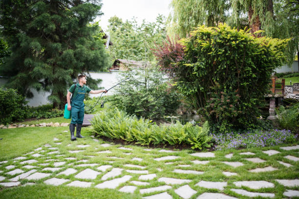Best Local Pest Control Services  in Rexland Acres, CA