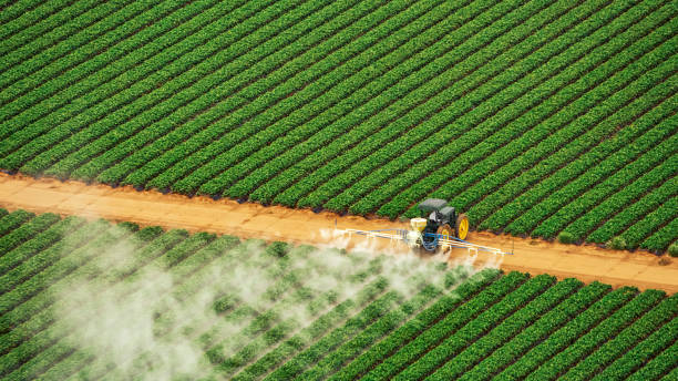 Professional Pest Control in Rexland Acres, CA